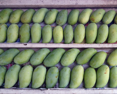 Stacks of sweet aroma ripe green mangoes fruit on wooden stack