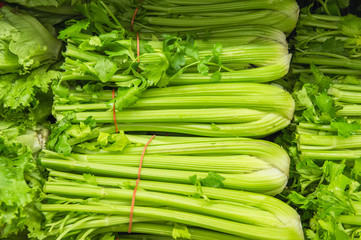 fresh group of celery from market shelves