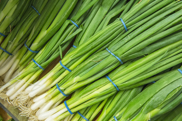bunches of green onions from market shelves real with flaws and