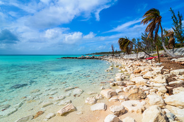 Stone beach with palms on the island Eleuthera on the Bahamas