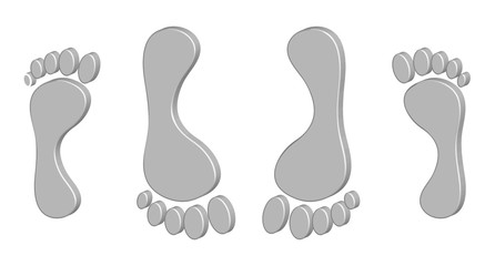 3d foot