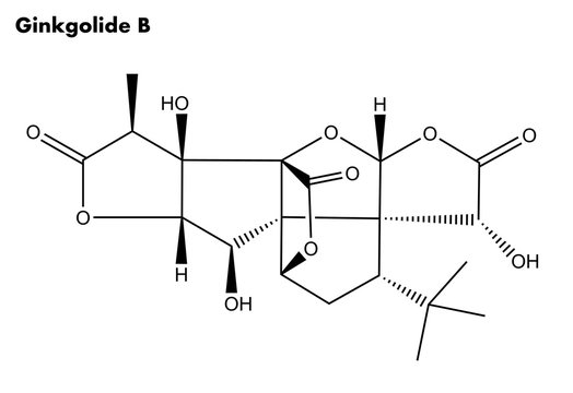 Molecular structure of Ginkgolide B (Ginkgo biloba tree)