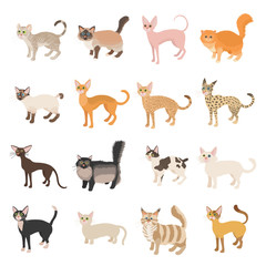 Cat icons set, cartoon style