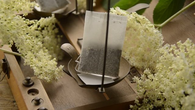 Sambuco Bilder Durchsuchen 497 Archivfotos, und Videos