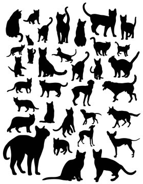 Dog and Cat, art vector silhouettes design