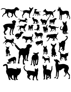 Animal Pets, Dog and Cat, art vector silhouettes design