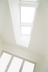 Ceiling Sky Light Window