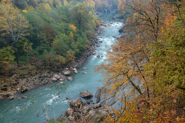 Landscape with mountain river and forest