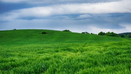 Green field, near Marinka village, Bulgaria