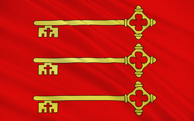 Flag of Avignon, France