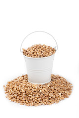 White bucket full of pearl barley, stands on a heap pearl barley