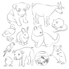 Animals pets vector icons set