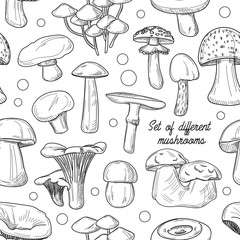Set of different mushrooms pattern