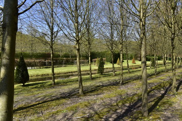 L'alignement des arbres de la petite forêt au long du canal inférieur aux Jardins d'Eau d'Annevoie 