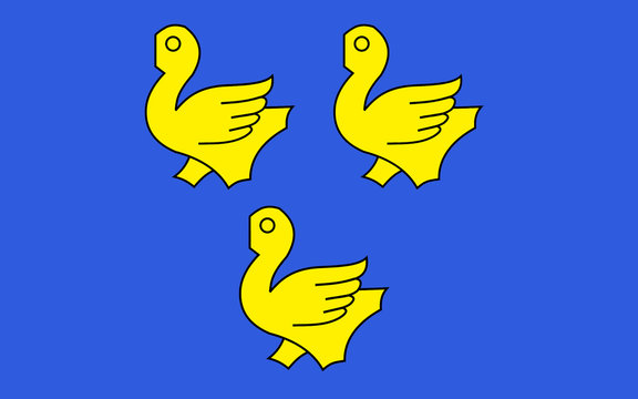 Flag of Sarcelles, France