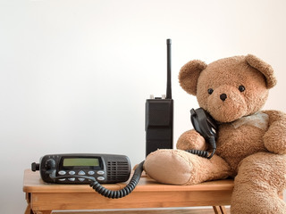 Cute bear holding speaker of black portable amateur radio for radio communication theme.