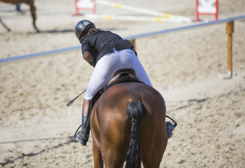 Le cheval et son cavalier