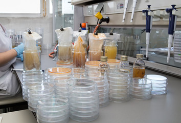 análisis de control de calidad de los alimentos en el laboratorio / inspección de control de...