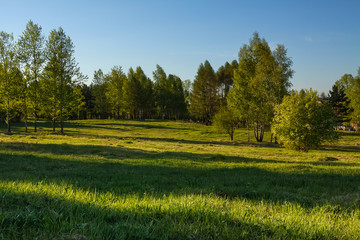 City lawn with green grass and blue sky