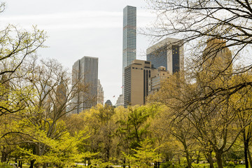 Central Park in New York City