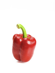 red pepper with white background