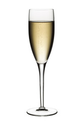 glass of white wine