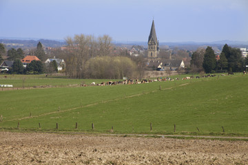 field landscape on a sunny day in spring