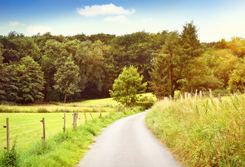 Idyllic country road in the sunset, with copy space and forest. Single lane road through fields and pastures, nature background.