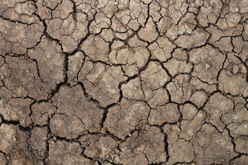 Dry soil for pattern and background