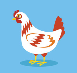 Cartoon white chicken. Vector flat illustration