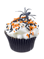spider on top of cupcake