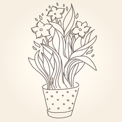 Drawing of beautiful narcissus flower in the pot.