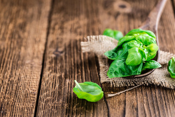 Heap of fresh Basil (selective focus)