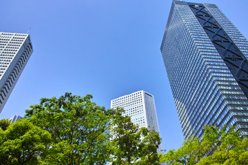 新緑の新宿高層ビル
