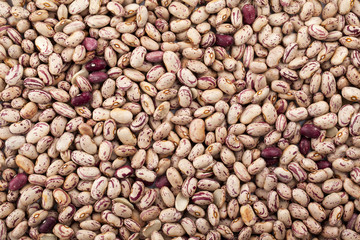 pinto beans