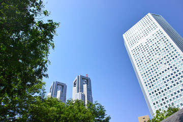 Obraz premium 新緑と東京都庁ビル