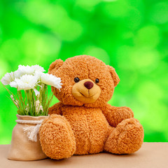 Nice and cute teddy bear with blured background