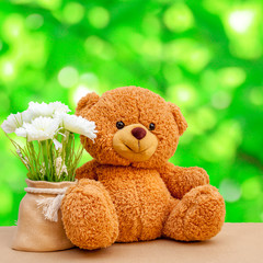 Nice and cute teddy bear with blured background