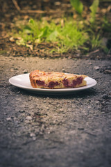 Slice of pie with fruits