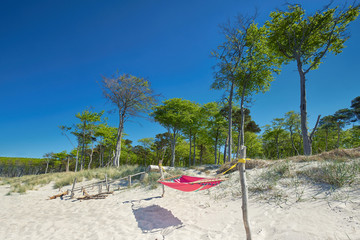 naturbelassener Ostseestrand, Hängematte vor den Dünen