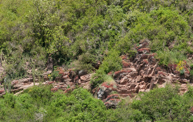 Deutschland. Mösel. Schiefergebirge