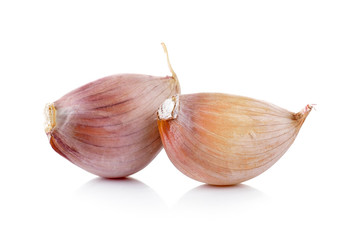 garlic on white background