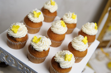 Delicious sweet buffet with cupcakes. Sweet holiday buffet with