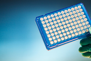 96 well plate  in laboratory no people