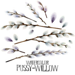Watercolor pussy-willow set - obrazy, fototapety, plakaty