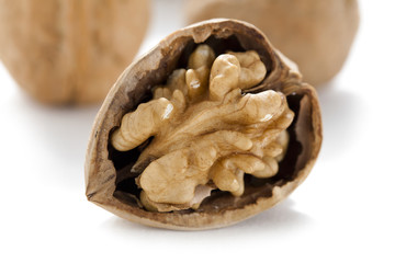 persian walnut