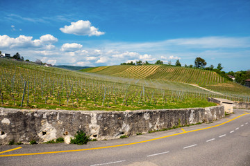 Weinanbaugebiet am Neuenburgersee, Schweiz