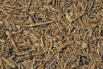 Pile of wood sawdust for background or texture