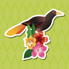 Tropical design. bird concept. nature icon 