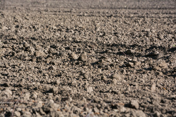 Plowed field in the spring